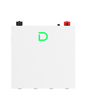 dingshifuben.png